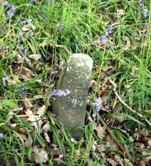 The last of the original mere stones