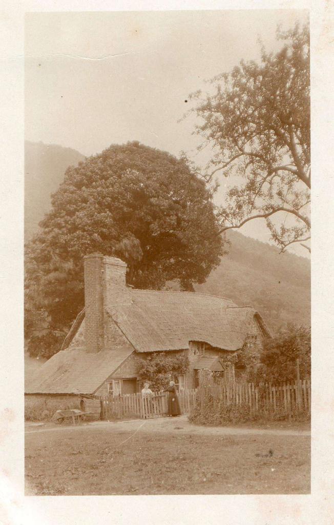Camp View - now Caractacus, with a portion of felled wood just visible in the background