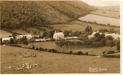Part of the wood clear felled in Edwardian times