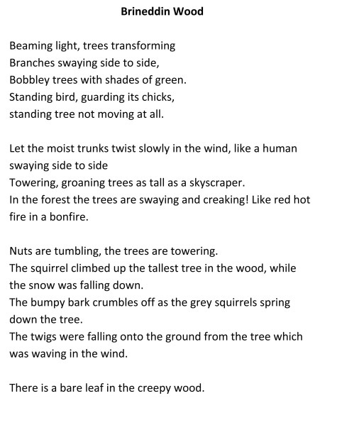 Brineddin Wood poem Clun School 21
