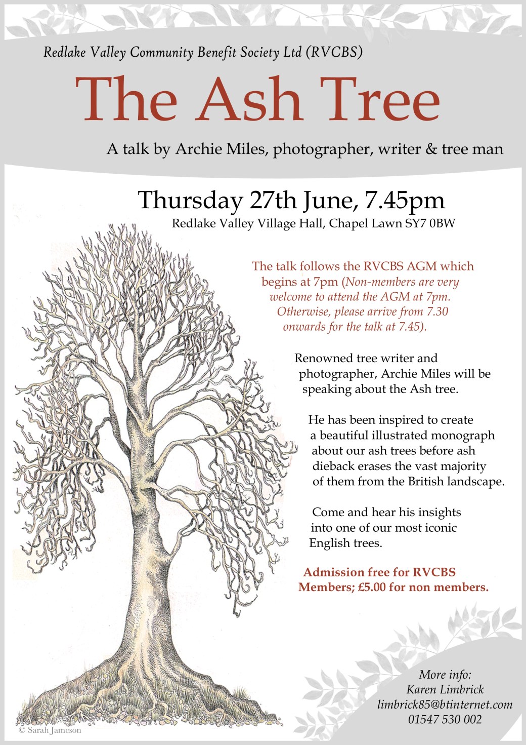 ash tree june 19